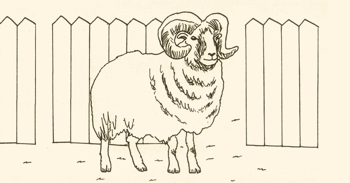 Обложка для поста Пайплайн Оператор