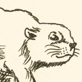 Post cover for Records & Tuples