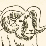 Post cover for Pipeline Operator